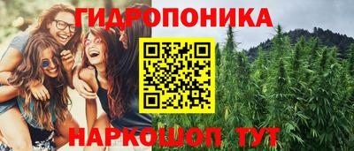 PSILOCYBIN Будённовск