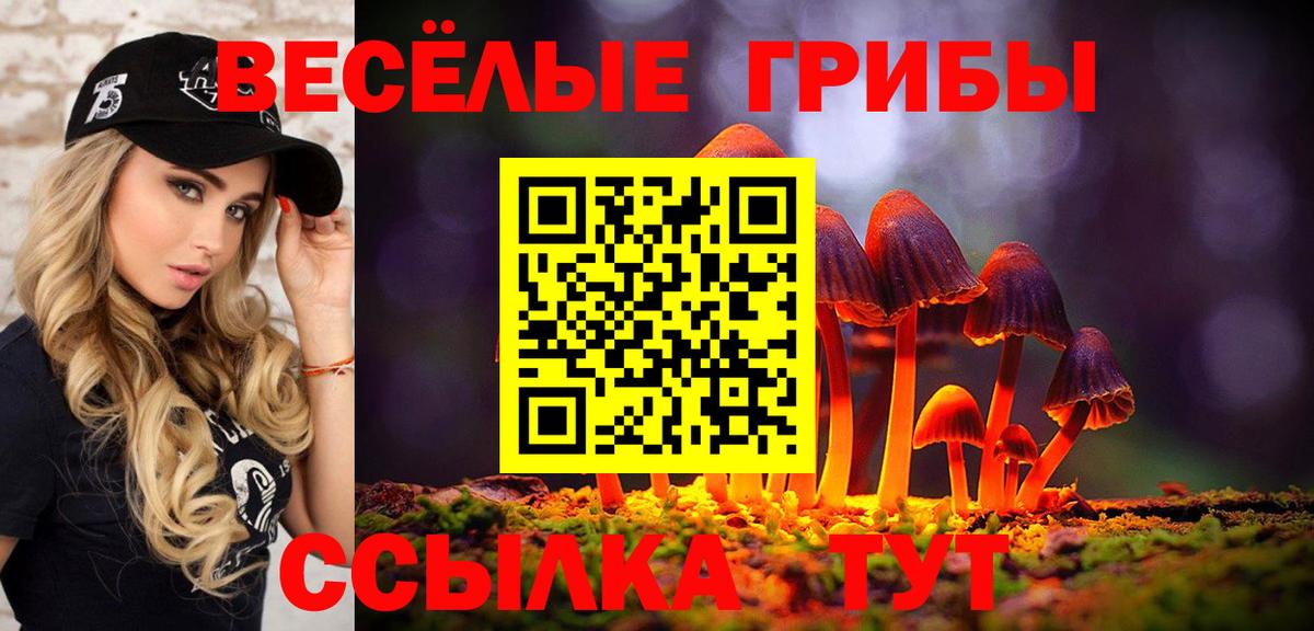 Галлюциногенные грибы прущие грибы  Вход с VPN  Тамбов 