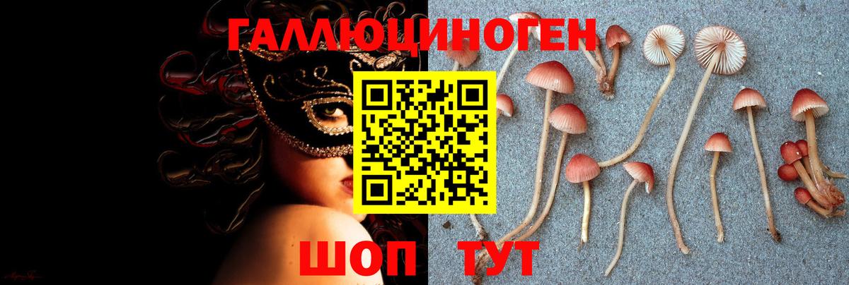 Псилоцибиновые грибы GOLDEN TEACHER Тамбов